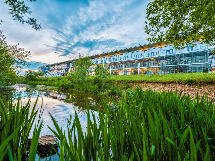 Universität Ulm, Eselsberg