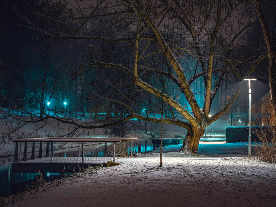 Glacis Park in der Nacht mit Bäume und Beleuchtung