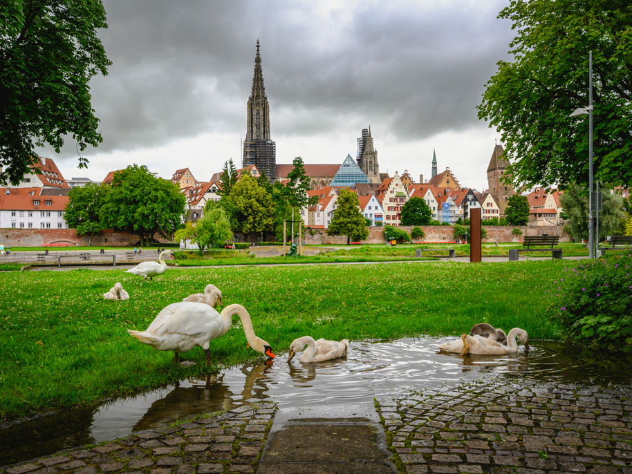 Donauwiesen von Neu-Ulm und Ulm